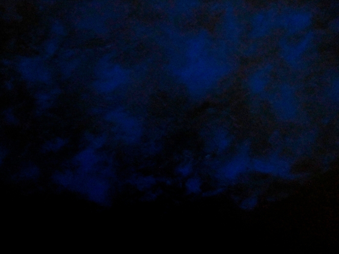 Blue Horizon  20"x16" Acrylic on Canvas